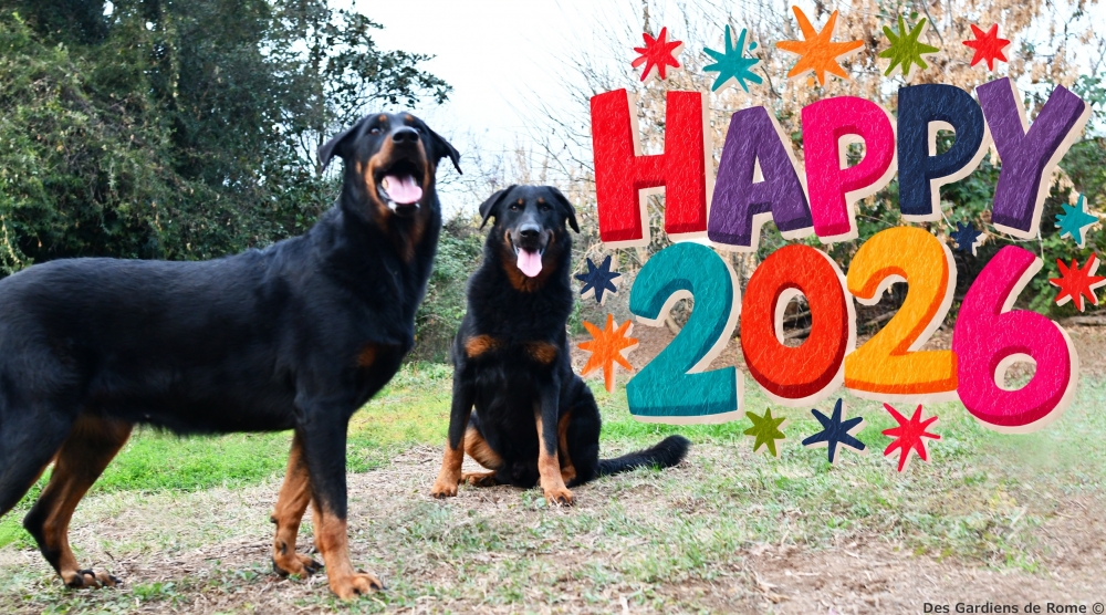 Buon 2026 - Des Gardiens de Rome