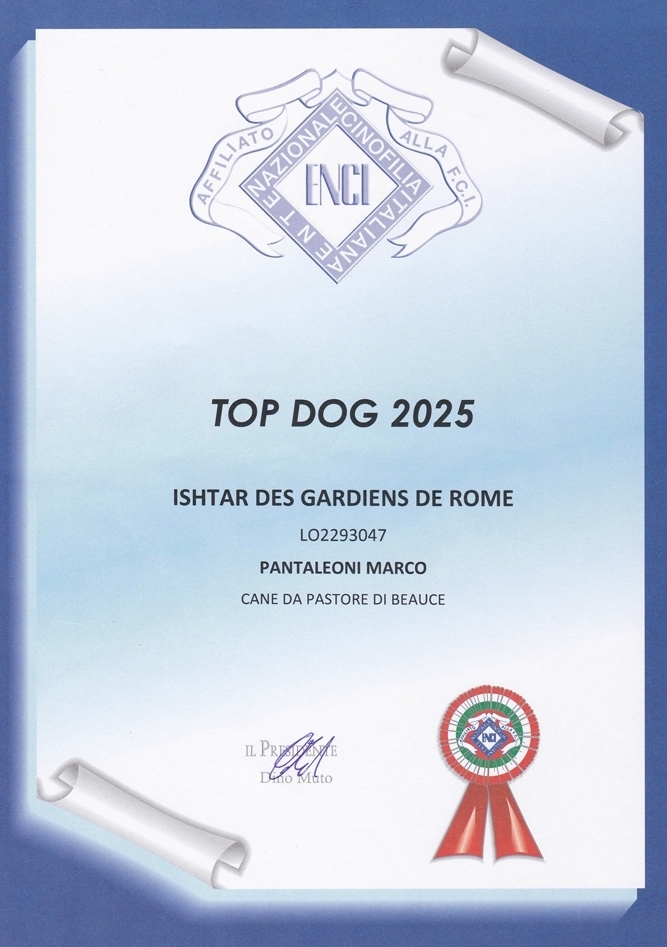 Trofeo TOP DOG 2025 - Des Gardiens de Rome