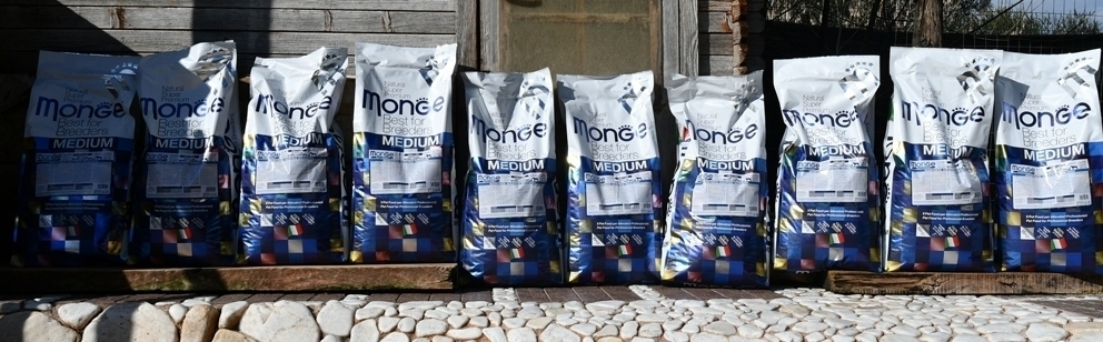 Starter - Des Gardiens de Rome