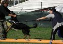 0_2480638_64624.jpg