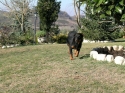0_4048635_64624.jpg