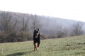0_4488678_64624.jpg
